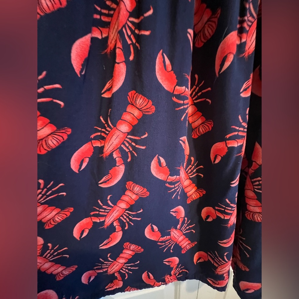 Navy & Red 🦞 Lobster Sundress with Red Lobster Print - Picture 4 of 6
